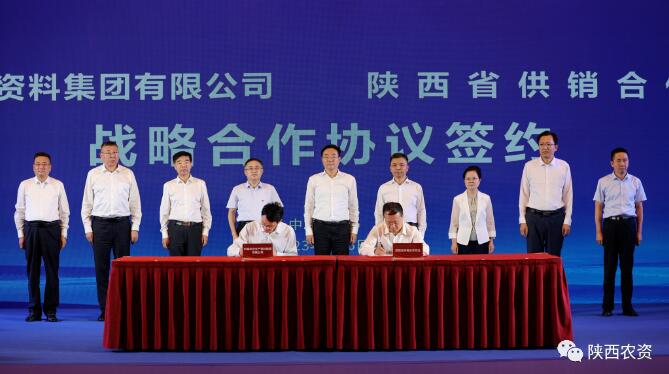 QQ截圖20240704152208.jpg