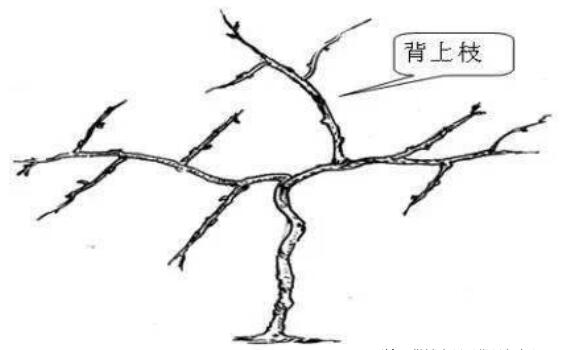 QQ截圖20240704160102.jpg