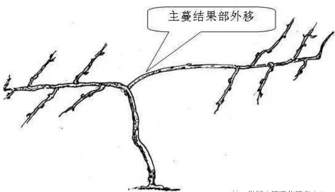 QQ截圖20240704160117.jpg