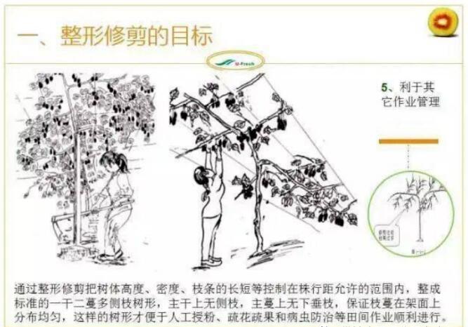 QQ截圖20240704160206.jpg
