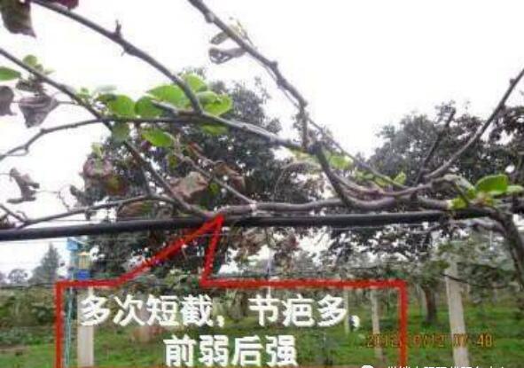 QQ截圖20240704160357.jpg